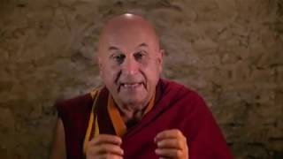 Apprendre à méditer avec Matthieu Ricard [upl. by Eimas876]