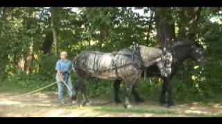 Coshocton Ohio Horse Drawn Canal Boat Part 2 [upl. by Konstantine]