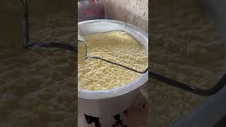 BEST GHEE OF PUNE ghee 1millionviewsinoneday follow farming funny plzdosuporrtmychanlfriends [upl. by Aserehc203]