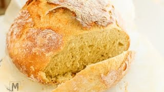 Best No Knead Bread Recipe  Munchkin Time [upl. by Semmes]