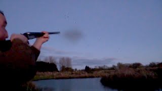 The Shooting Show  duck flighting triple bill [upl. by Urquhart]