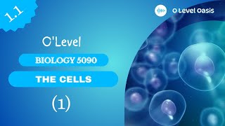 Introduction to cells and microscopes  O Level Biology 5090  Chapter 1  Cells  Unit 11 [upl. by Converse710]