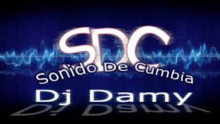 Echarme Al Olvido  Grupo Cañaveral  Dj Damy SonidoDeCumbia [upl. by Aivatal566]