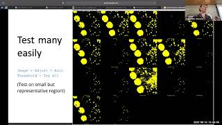 Segmentation amp Colocalization [upl. by Johnsten]