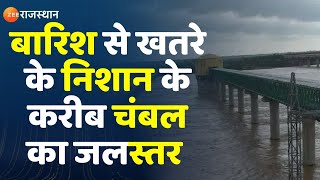 Heavy Rain In Rajasthanलगातार बारिश से Chambal का जलस्तर पहुंचा खतरे के निशान के करीब। Dholpur News [upl. by Harmon]