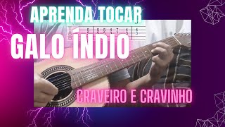 Craveiro e Cravinho  Galo Índio solo e acompanhamento na viola caipira [upl. by Kinney]