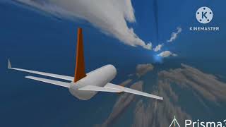 Gol Airlines Flight 1907  Crash Animation [upl. by Nywloc815]