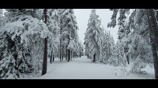 Sono stato nella Lapponia Finlandese a Rovaniemi da Babbo Natale [upl. by Penrose]