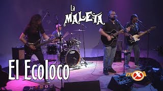 La Maleta  El Ecoloco cover de Odisea Burbujas  mxi LIVE [upl. by Nhguavad]