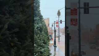 First snowflakes of the season in St Charles Illinois [upl. by Devora]