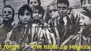 I Nomadi  Auschwitz Canzone del bambino nel vento Cover [upl. by Peyter]