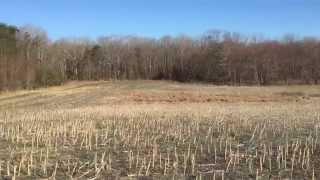 Rapidan River Relic Hunters Association Sunday Hunt [upl. by Corotto]