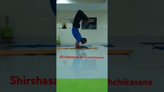 Shirshasana to Vrashchikasana Shirshasana Vrashchikasana advanceyoga wholebodyworkout [upl. by Hewett]