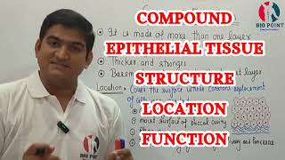 Tissue  Compound Epithelial Tissue Types  Structure  Location  Function  With हिंदी Explanation [upl. by Latif]