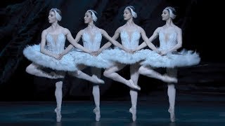 Swan Lake – Dance of the cygnets The Royal Ballet [upl. by Aivital352]