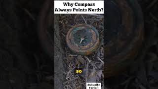 Navigating North The Magnetic Mystery of Why Compasses Align 🧭🌐 shorts viral ytshorts [upl. by Chick]