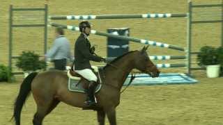 Doha GCT 1m55  Patrice Delaveau  Carinjo HDC  Jeudi 21 novembre 2013 [upl. by Eelymmij]