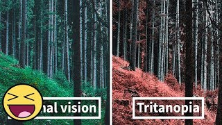 Here’s How Colorblind People With Tritanopia See The World [upl. by Nehgem]