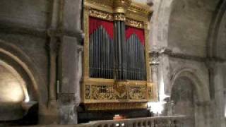 Orgue de la cathédrale NotreDame des Doms dAvignon [upl. by Eimmis]