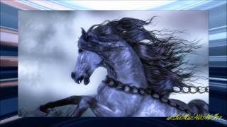 Ottmar Liebert  Horse [upl. by Dyana]