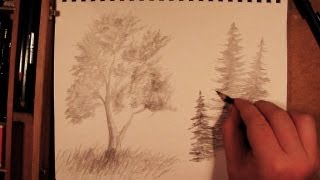 How to Draw a Tree [upl. by Nylednarb392]