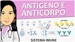 Imunologia 08  Antígeno e Anticorpo  Vídeo aula de sistema imune [upl. by Ilario419]