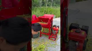 Mini Paddy Thresher Manufacturer Grain For Sorghum Rice [upl. by Howzell]