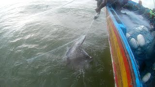 Hunting Big StingRay Deep Sea Fishing  Ibrahim Hyderi [upl. by Jeanne40]