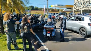 Evento exclusivo Harley Beers And Choppers com muita gente bonita e máquinas iradas [upl. by Itida538]