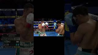 KNOCKOUT OF THE YEAR 2024 Angelo Leo knocks out Luis Alberto Lopez [upl. by Nwahsir]