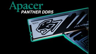 Apacer Panther Series DDR5 RGB Memory Kit  First Look [upl. by Braunstein663]