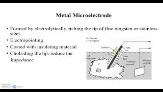 microelectrode BMI Unit1 [upl. by Tersina608]