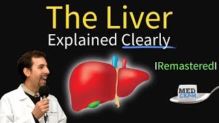 Liver Explained Function Pathology Diseases amp Cirrhosis [upl. by Arlinda]