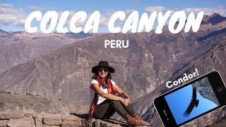 Colca Canyon 2 Day Trek without a tour  Arequipa PERU Travel Vlog [upl. by Rancell230]