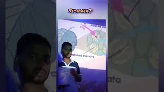 what is the work of stomataclass9 stomata science [upl. by Odnanreh]