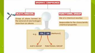 Functional Groups in Organic Compounds [upl. by Harbison]