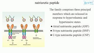 natriuretic peptide [upl. by Merril]