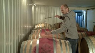 Viticulture débat en Valais autour du sucrage des vins finis [upl. by Elayor]