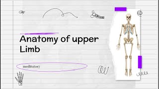 Anatomy of humerus part 1Anatomy of upper limbUpper lim Anatomy Hmerus bone in urdu hindi lecture [upl. by Latrice]