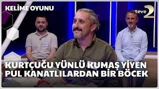 Kurtçuğu yünlü kumaş yiyen pul kanatlılardan bir böcek  Kelime Oyunu [upl. by Mello949]