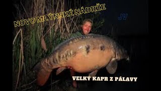 Rybí svět Jakuba Vágnera KAPR NOVÉ MLÝNYodchov a lov kapra HD [upl. by Vidovik528]