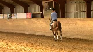 Dressage Exercixe  Counter Canter [upl. by Phelps132]