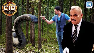 Team CID का हुआ एक साँप से सामना  सीआईडी  Episode 1396 [upl. by Nicolais]