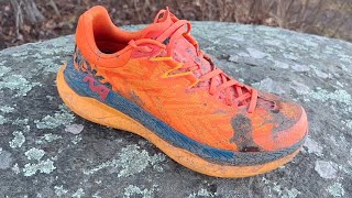 Hoka Tecton X First Run Impressions [upl. by Nesto84]