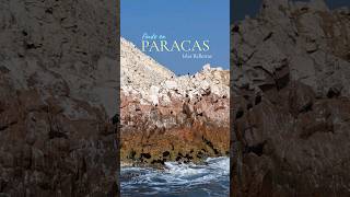 VLOG ISLAS BALLESTAS 📍PARACAS 🇵🇪 mariapatriciavlog peru turismo [upl. by Nylaret]