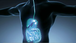 Gastrointestinal Disorders Signs symptoms and illnesses  HOUSTON LIFE  KPRC 2 [upl. by Nnylyaj]