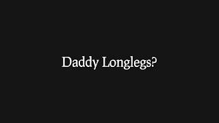 Are Daddy Longlegs Spiders Re 8 Animal Misconceptions Rundown [upl. by Burnside722]