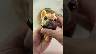 The French bulldog so amazing cute puppy frenchbulldog squishy kawaiiaesthetic satisfying [upl. by Peoples789]