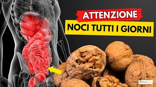 Dibattito chiuso le NOCI sono la miglior frutta secca al mondo [upl. by Haskel]