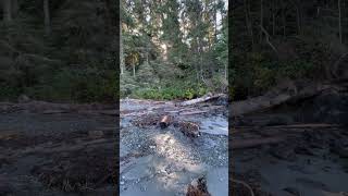 Goudie Creek at French Beach BC [upl. by Irami]